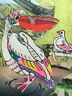Reduced Pelican