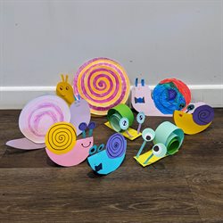 Wildlife Trust Snails