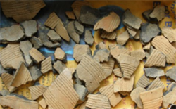 Archaeology Detectives