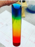 Rainbow 2025-06-26 115855