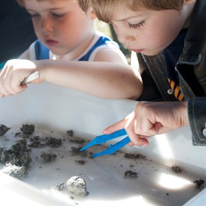 STEAM Wild Life Trust c Amy Lewis