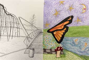 Butterfly