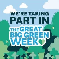 Green week 1 website