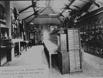bedford museum 1887
