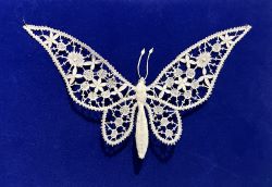 Lace butterfly